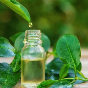 Tea Tree Fragrance Oil